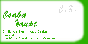 csaba haupt business card